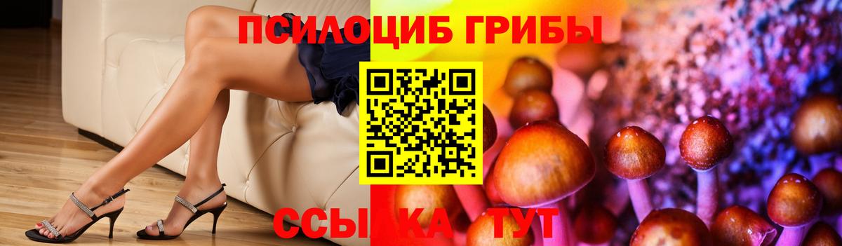 Псилоцибиновые грибы ЛСД Мирный